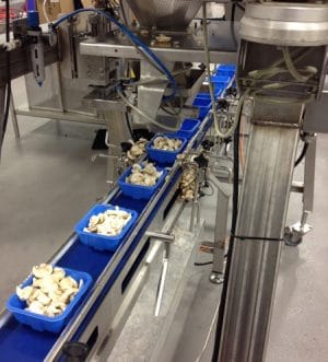 , Culture rapide &#8211; conditionnement rapide… Dorner permet à Monterey Mushrooms de déplacer et de conditionner plusieurs milliers de kilos de champignons chaque jour