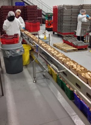 , Culture rapide &#8211; conditionnement rapide… Dorner permet à Monterey Mushrooms de déplacer et de conditionner plusieurs milliers de kilos de champignons chaque jour