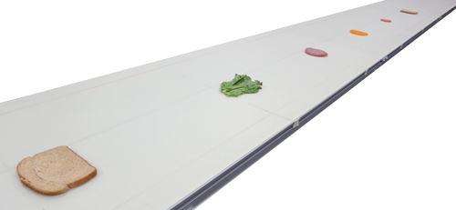 , Conveyor Solutions Designed to YOUR Taste