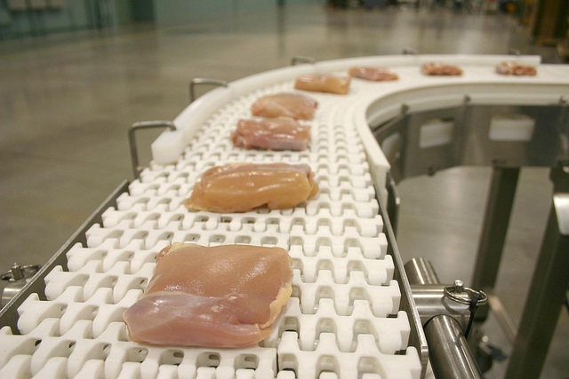 Nettoyer les pommes de terre sur un convoyeur à courroie, préparé pour  l'emballage. L'agroalimentaire, l'industrie alimentaire et le commerce de  la technologie concept Photo Stock - Alamy