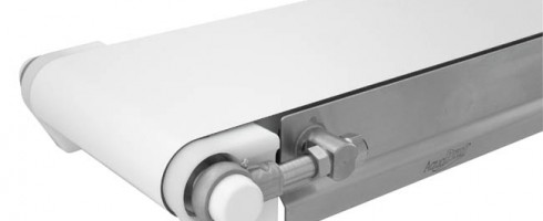 , Do you use a Stainless Steel Sanitary Conveyor?