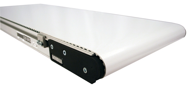 , Leading Low Profile Belt Conveyor Carries More Weight