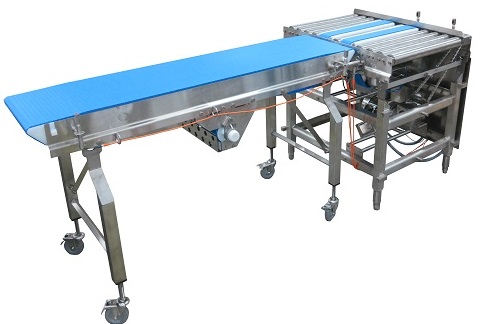 Two AquaPruf 7400 Series Sanitary Conveyors with pop-up transfer table