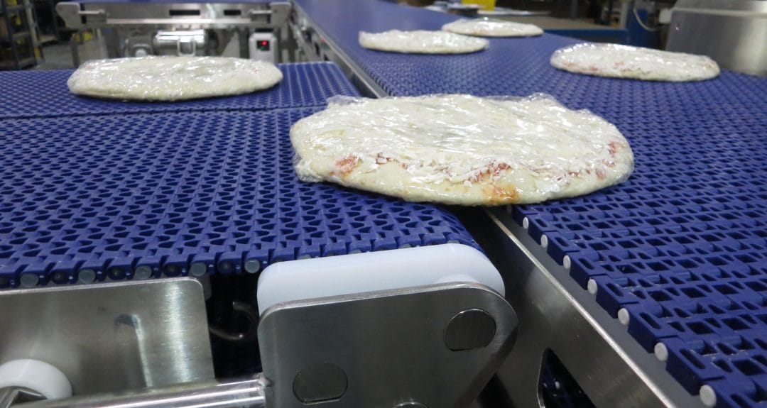 , Sanitary Conveyor Solutions eBook Download