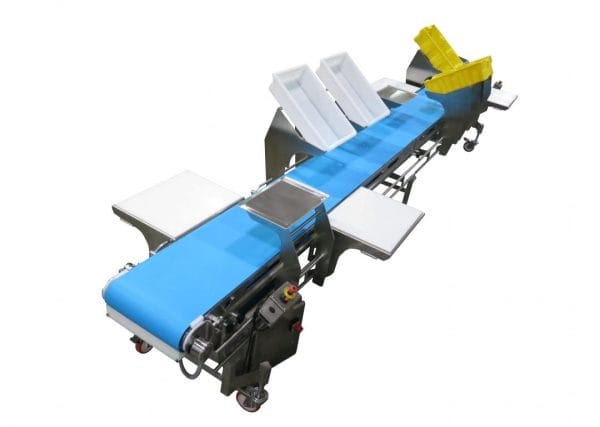 , Conveyors Designed for Food and Worker Safety