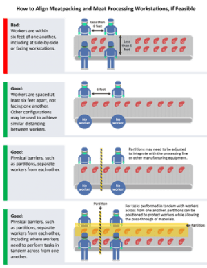 , Conveyors Designed for Food and Worker Safety