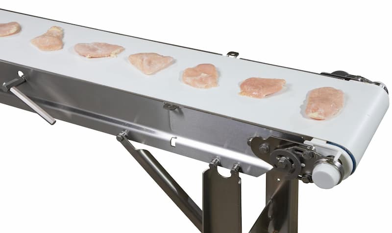 Food grade conveyors 2025