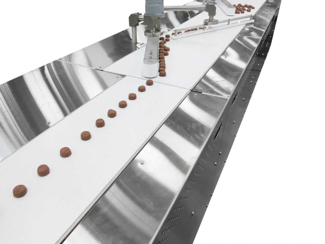 Single row of chocolates on a sanitary conveyor for positioning and product inspection.