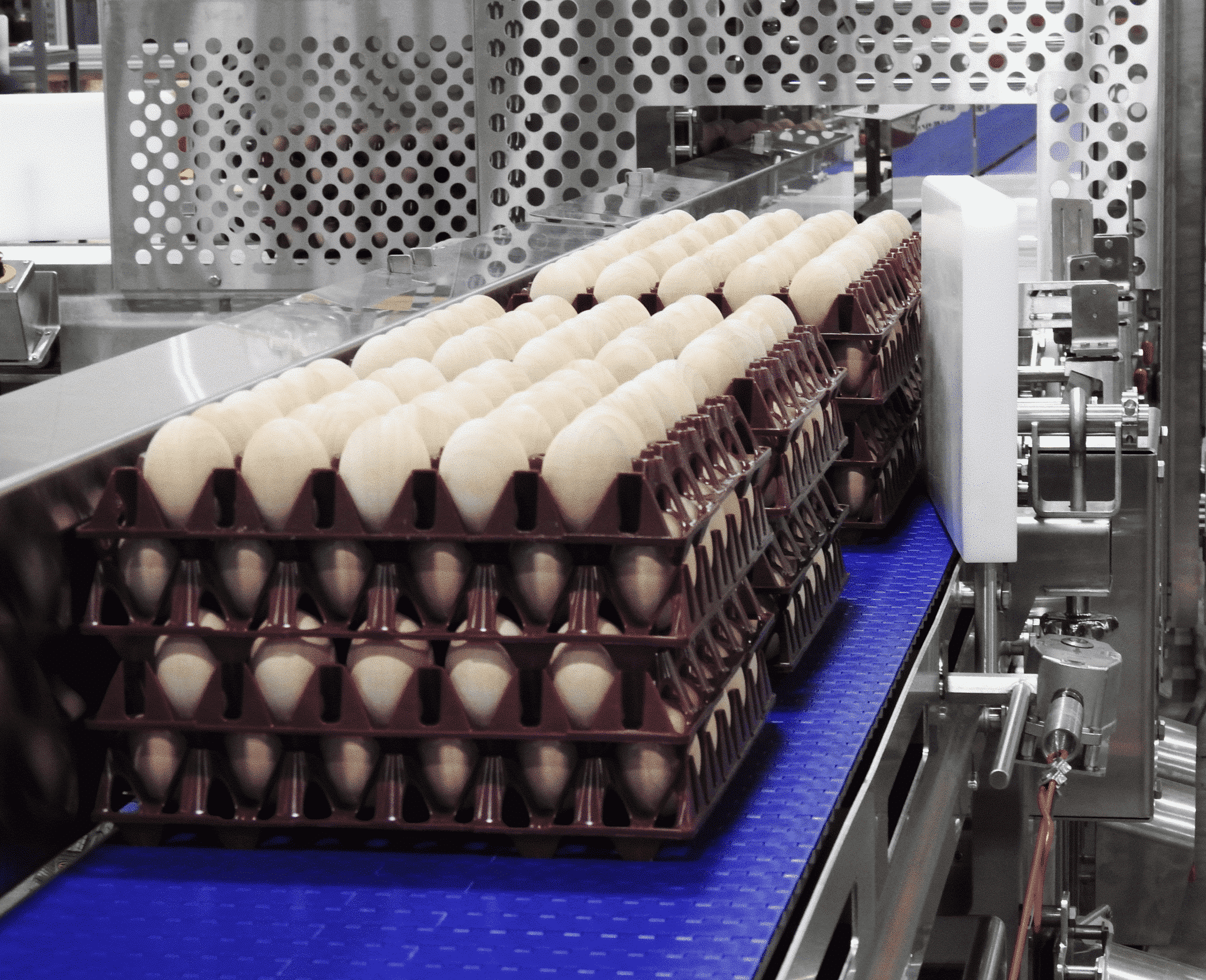 , Enhancing Efficiency in Food Processing: The Impact of Precision Conveyors