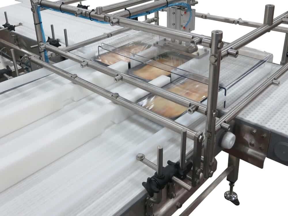 , Enhancing Efficiency and Safety: The Role of Conveyors in Pet Food Manufacturing and Packaging