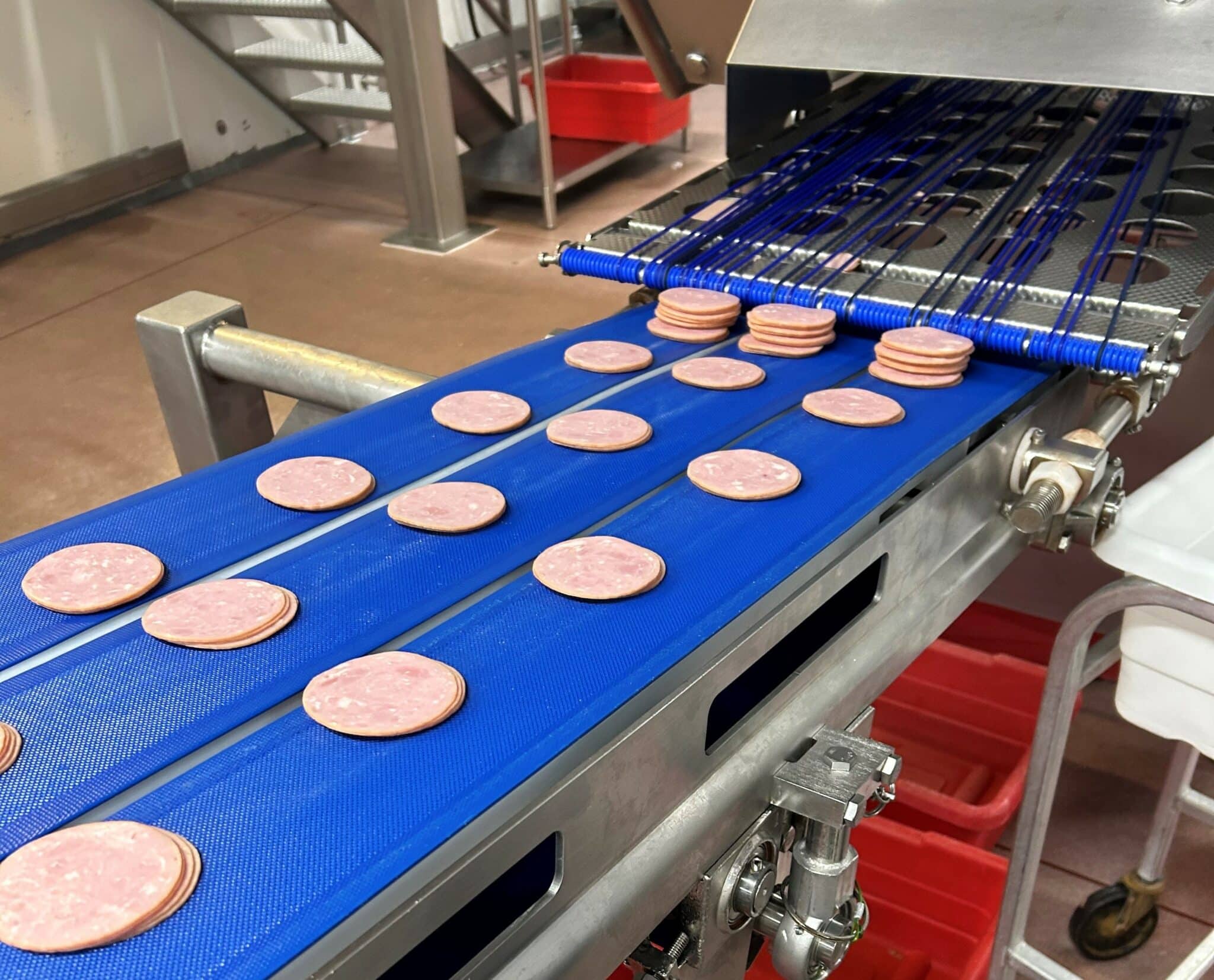 , Ready-to-Eat Conveyors