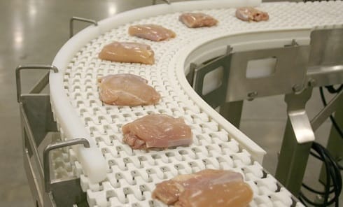 , Plastic Chain Conveyors Bring Flexibility and Sanitation to Food Manufacturing